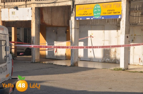 ta3n ludj31 (16).JPG